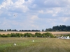 planeur-moret